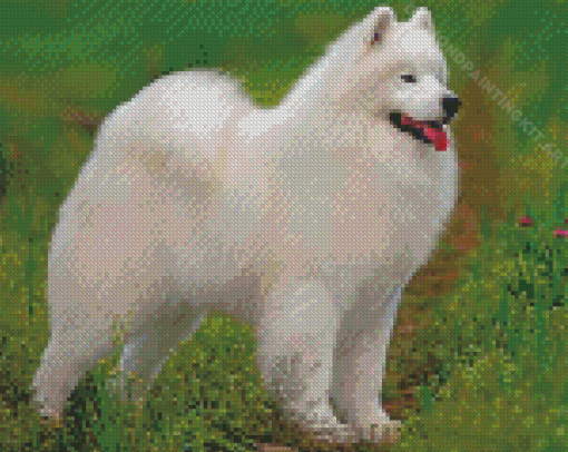 American Eskimo Diamond Painting