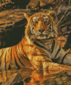 Aesthetic Bengal Tiger Diamond Painting