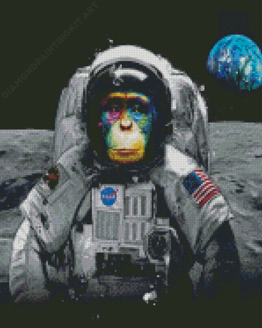 Space Astronaut Chimp Diamond Painting