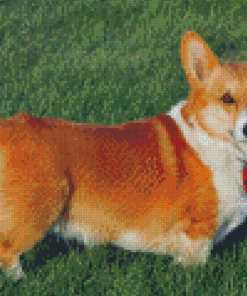 Welsh Corgi Dog Diamond Painting