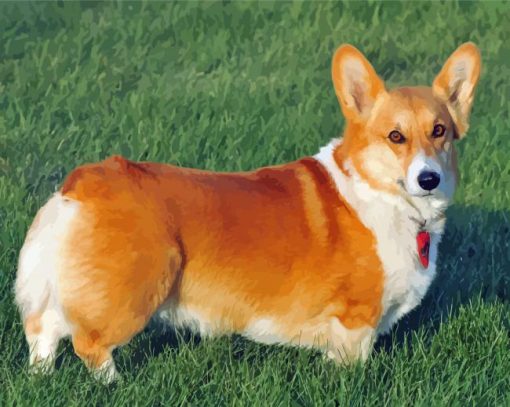 Welsh Corgi Dog Diamond Painting