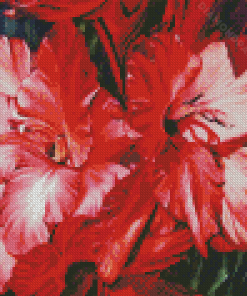 Cool Gladiolus Diamond Painting