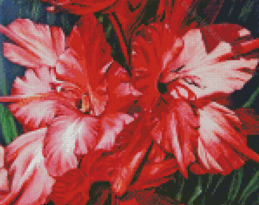 Cool Gladiolus Diamond Painting