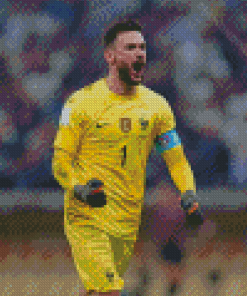 Hugo Lloris Diamond Painting