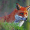 Orange Fox Diamond Painting