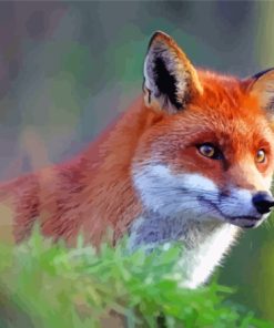 Orange Fox Diamond Painting