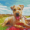 Patterdale Terrier Puppy Diamond Painting