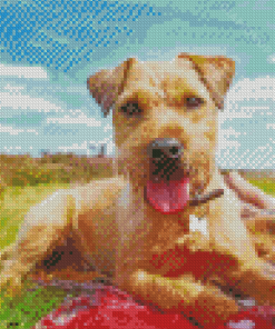 Patterdale Terrier Puppy Diamond Painting