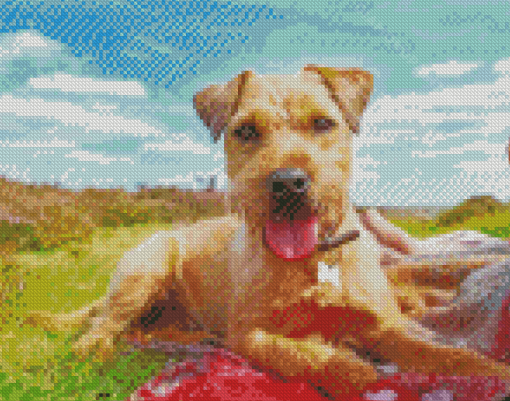 Patterdale Terrier Puppy Diamond Painting