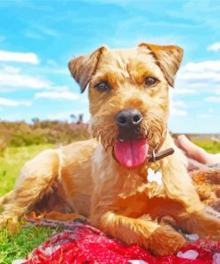 Patterdale Terrier Puppy Diamond Painting