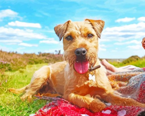 Patterdale Terrier Puppy Diamond Painting