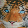 Baby Tiger Diamond Painting