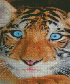 Baby Tiger Diamond Painting