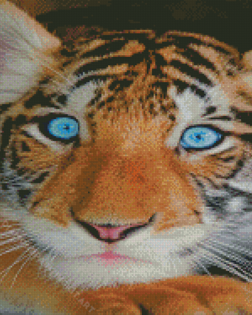 Baby Tiger Diamond Painting