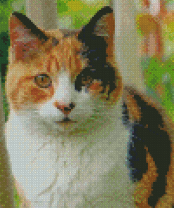 Ginger Kitt Diamond Painting