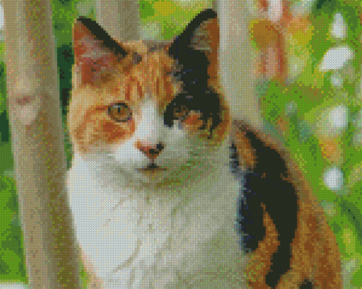 Ginger Kitt Diamond Painting