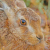 Pretty Rabbit Diamond Painting