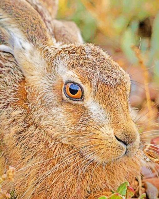 Pretty Rabbit Diamond Painting