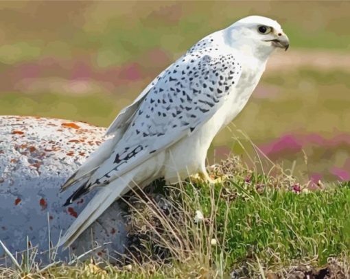 White Gyrfalcon Diamond Painting