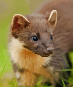 Pine Marten Diamond Painting