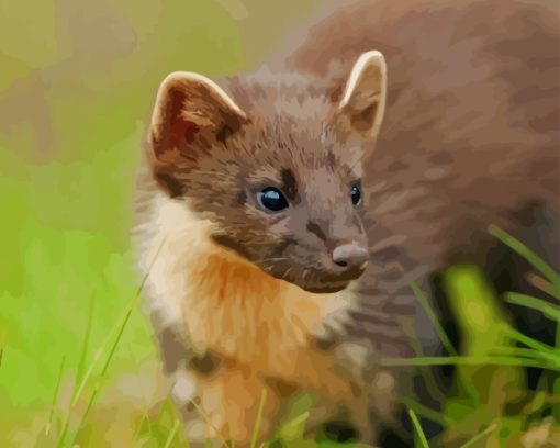 Pine Marten Diamond Painting