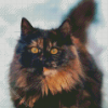 Tortoiseshell Cat Diamond Painting