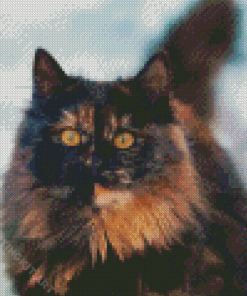 Tortoiseshell Cat Diamond Painting