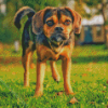 Puggle Dog Diamond Painting