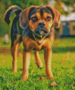 Puggle Dog Diamond Painting