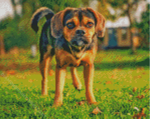 Puggle Dog Diamond Painting