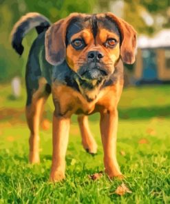 Puggle Dog Diamond Painting