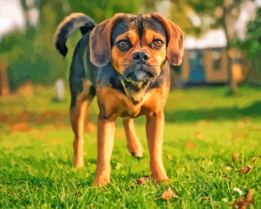 Puggle Dog Diamond Painting