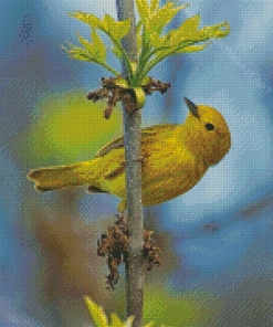 Warbler Bird Diamond Painting