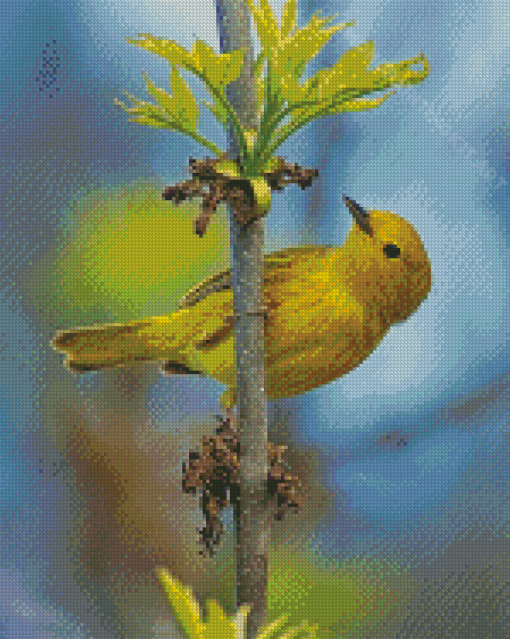 Warbler Bird Diamond Painting