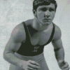 Dan Gable Diamond Painting