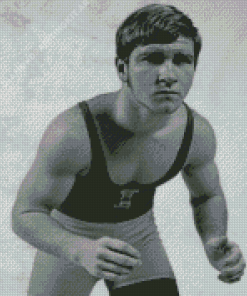 Dan Gable Diamond Painting