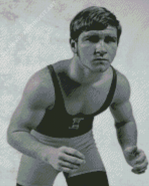 Dan Gable Diamond Painting