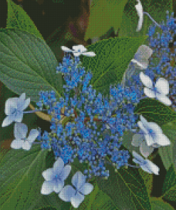 Bluebird Hydrangeas Plants Diamond Painting