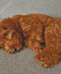 Caramel Cockapoo Diamond Painting