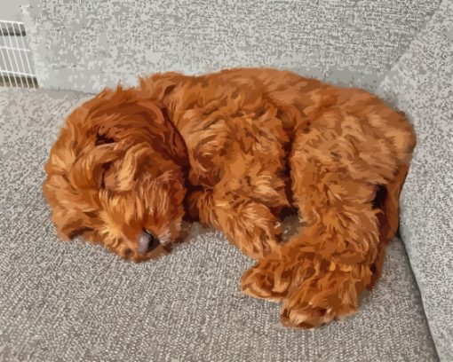 Caramel Cockapoo Diamond Painting