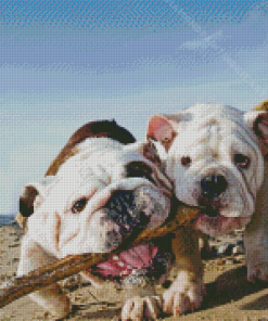 Bulldogs Playing Diamond Painting