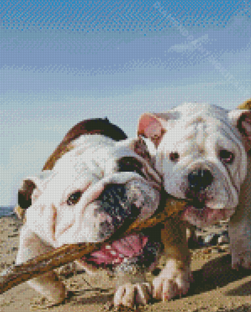 Bulldogs Playing Diamond Painting