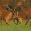 Deer Fighting Diamond Painting