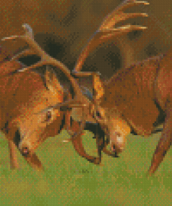 Deer Fighting Diamond Painting