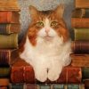 Books And Cats Diamond Painting