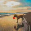 Dog Playing Diamond Painting