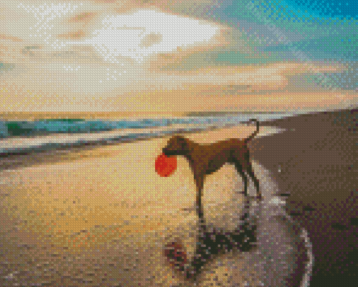 Dog Playing Diamond Painting