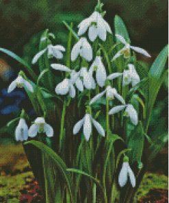 Flowers Snowdrops Diamond Painting