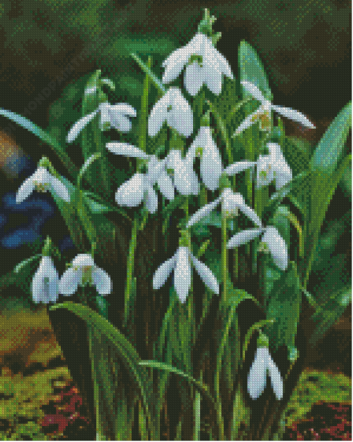 Flowers Snowdrops Diamond Painting