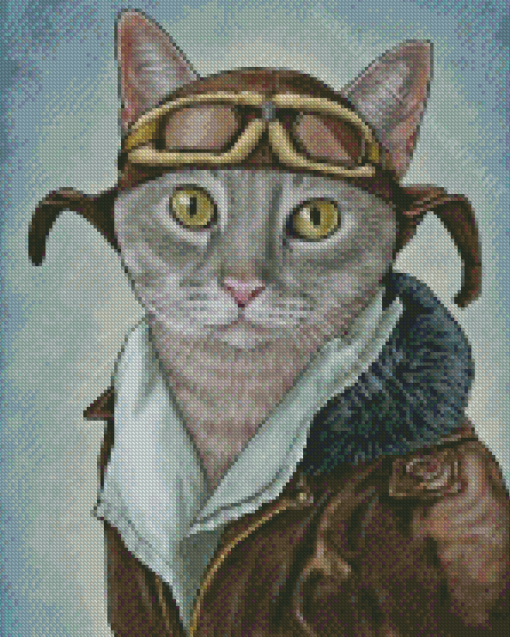 Grey Pilot Cat Diamond Painting